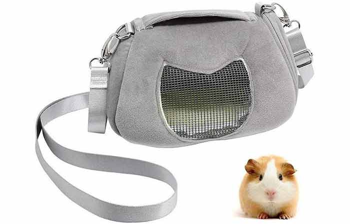 best travel carrier for rats