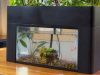 Best Self-cleaning Fish Tank-Low Maintenance Best self cleaning fish tank with low maintenance