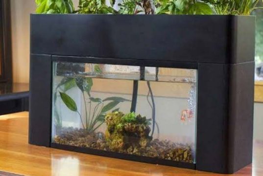 best self cleaning fish tank