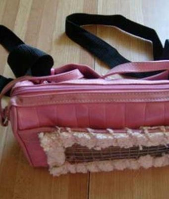 How to create a DIY Bird Backpack How to Create your own bird backpack