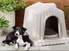How to Insulate a Plastic Dog House How to insulate plastic dog house