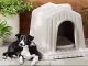 How to Insulate a Plastic Dog House How to insulate plastic dog house