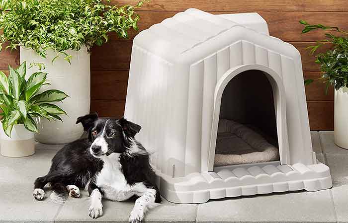 best way to insulate a dog house