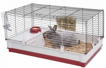 How to keep Rabbit Cage from smelling-Odor Control & Deodorizers How to stop smell from rabbit cages/hutches