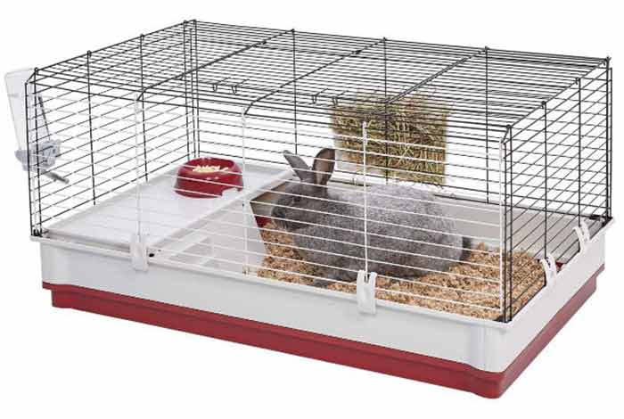 How to keep Rabbit Cage from smellingOdor Control