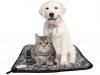 Are Heating Pads/ Beds Safe for Cats & Dogs? How safe are pet heating pads/beds for dogs and cats?