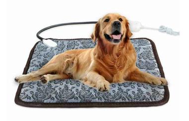 are heated beds safe for your dog