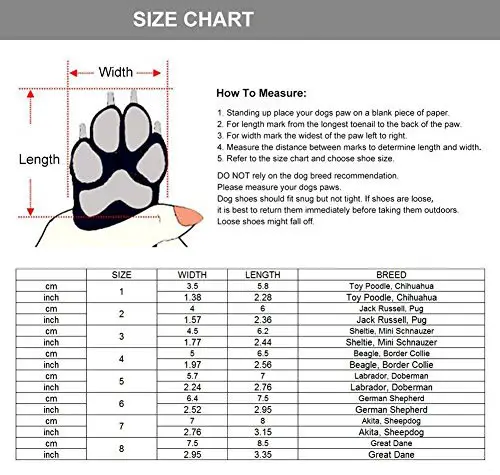 Dog paw size chart