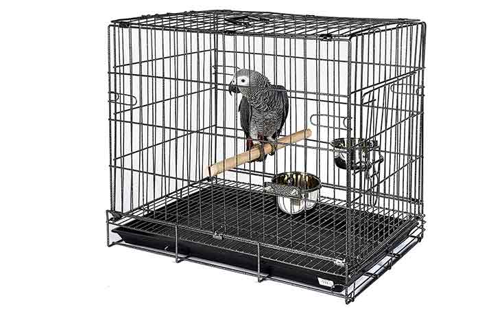 Kookaburra Cage