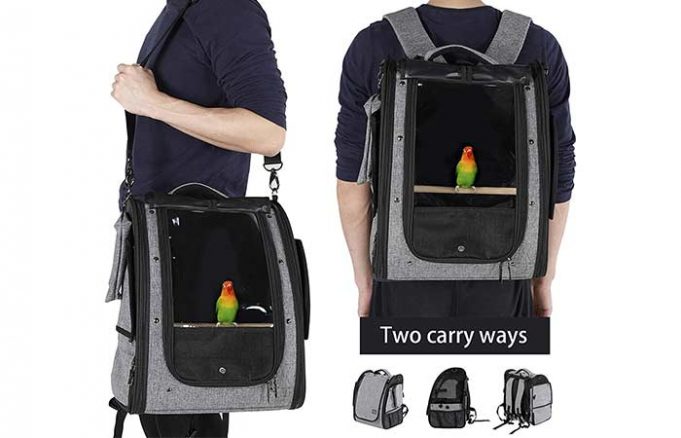 Best Bird Carrier Backpacks & Cages for Travel: Small & Large Birds ...