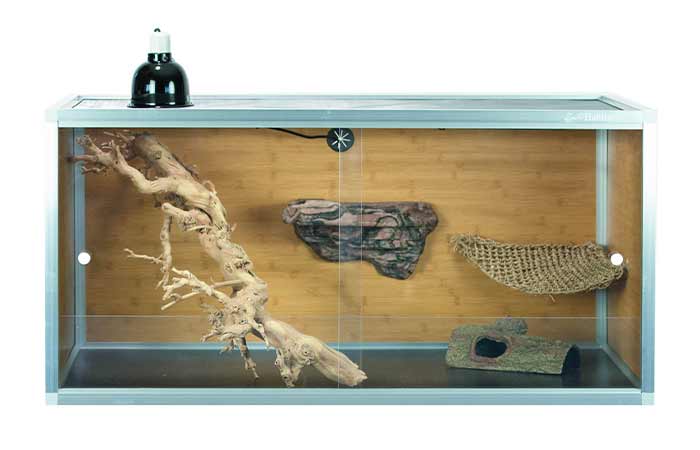 Zen Dragon Enclosure