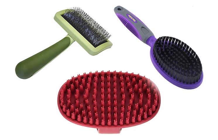 Types of Dog Grooming Brushes, Combs & Rakes-How to Choose the Right One - Petaddon