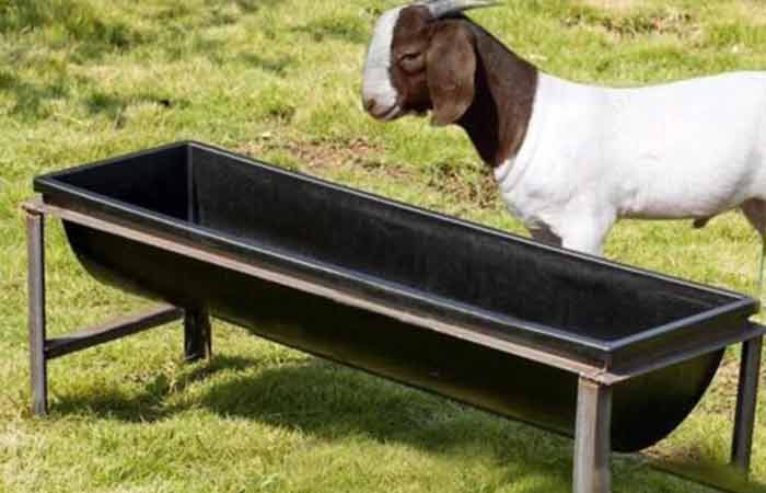 Large Trough Goat waterer